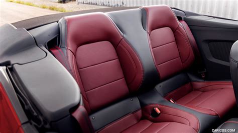 backseat .